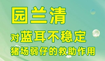 園蘭清對(duì)藍(lán)耳不穩(wěn)定豬場(chǎng)弱仔的救助作用！