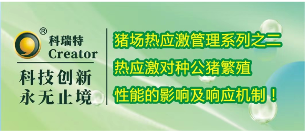 養(yǎng)殖技術 | 熱應激對種公豬繁殖性能的影響及響應機制