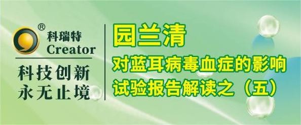 養(yǎng)殖技術(shù) | 園蘭清對PRRSV攻毒仔豬保護(hù)試驗綜合解讀-試驗報告解讀之五