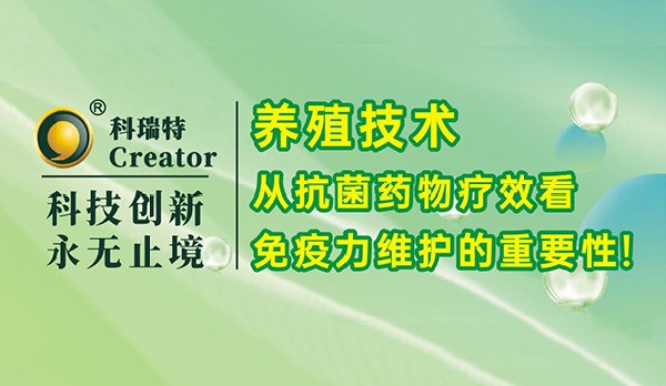 養(yǎng)殖技術(shù)｜從抗菌藥物療效看免疫力維護(hù)的重要性！